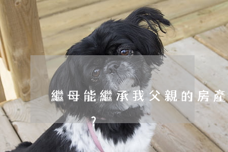 繼母能繼承我父親的房產(chǎn)嗎？